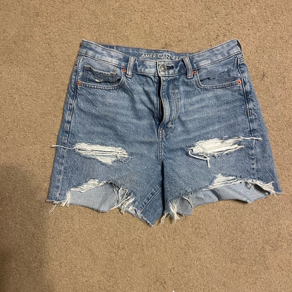 American Eagle Baggy Mom Shorts
